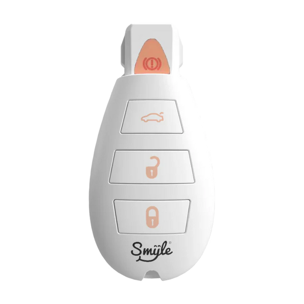 PENJAMIN CAR KEY EDITION BATTERY