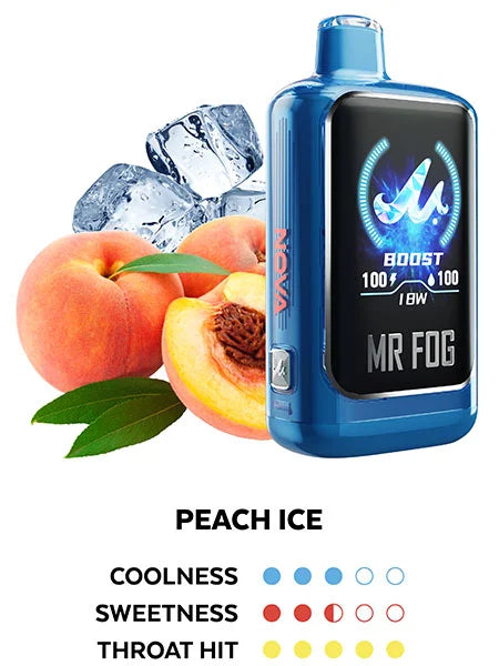 MR. FOG NOVA 36,000 *BLUE RAZZ STEEZY EDITION*